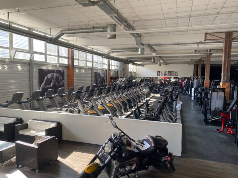 David Gym - Das bekannte Gym der Schweiz - 3 x in Zürich